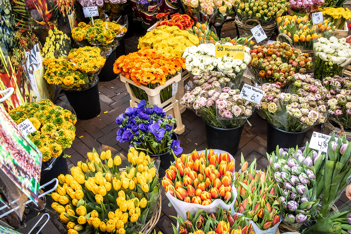 Bir Amsterdam gezi planının olmazsa olmazı Bloemenmarkt keşfi.
