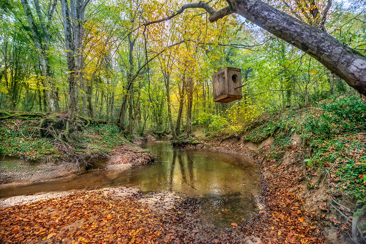 İstanbul ziyaretinizde size doğasıyla kucak açan ve hem ormanı hem denizi sunan bir güzellik İğneada.