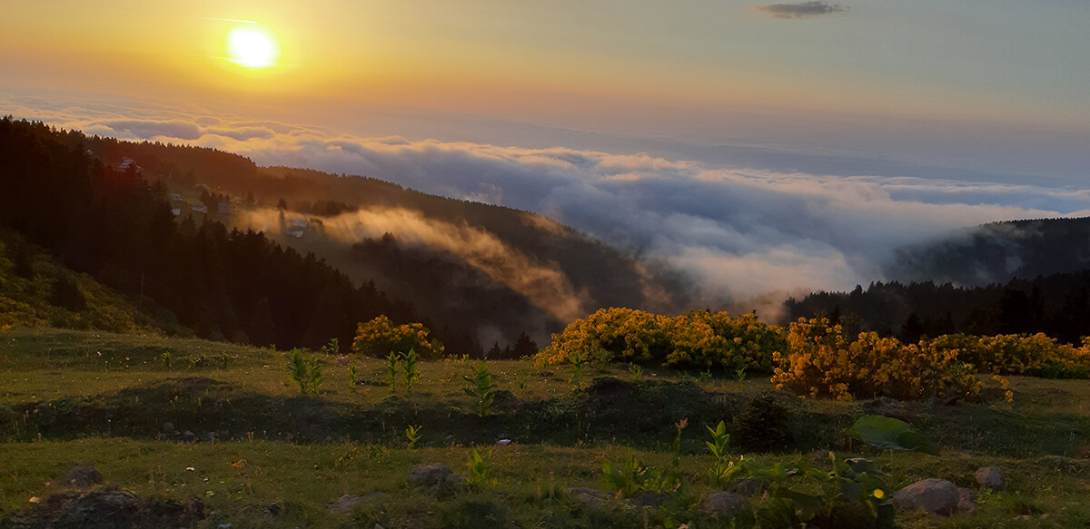 Trabzon Karadağ Yaylası