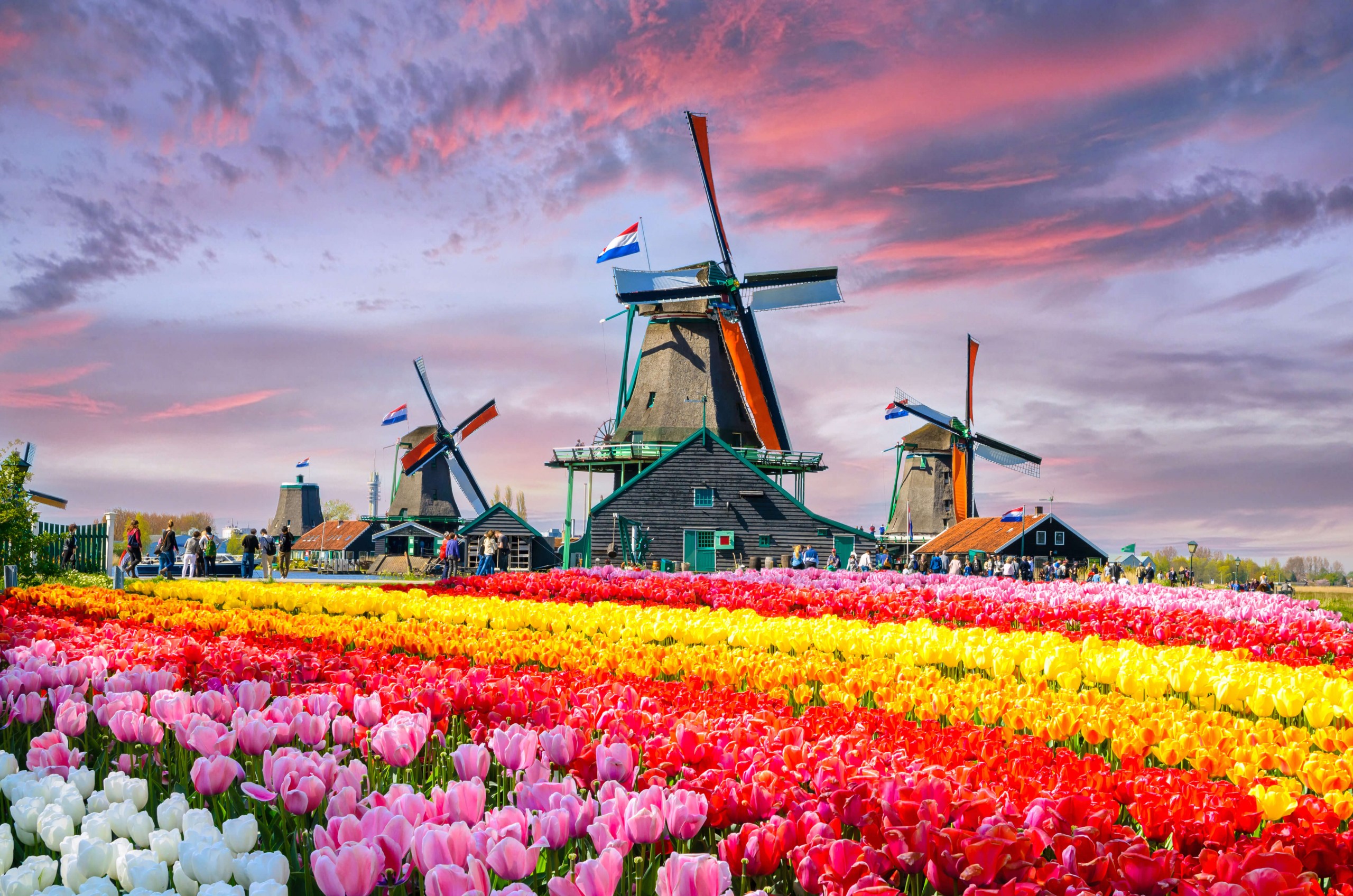 Zaanse Schans yel değirmenlerinin olduğu harika bir kasaba.
