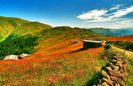 Doğaseverlerin Gözdesi Trabzon Yaylalarını Keşfetme Rehberi